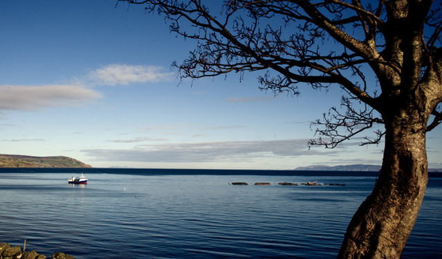 Beautiful Scenery of the Antrim Coast, where our organic salmon is reared